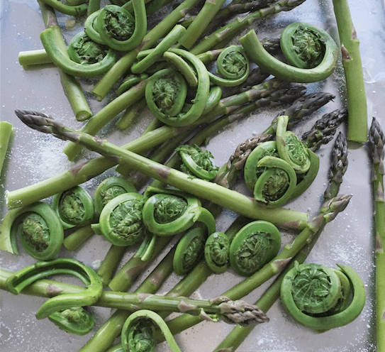 fiddleheads cropped
